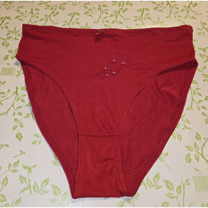 BODY FORM Red Silky Stretch Hi-Leg Shiny Embroidery Panties Womens 10/3X NOS